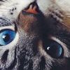 kimberleysmi221